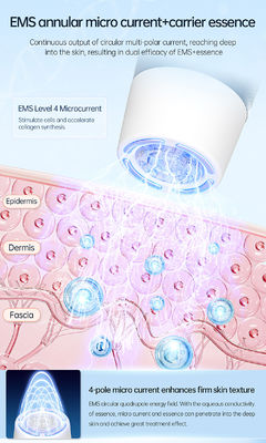 Home Spa Facial Microneedle Therapy Machine With Auto Stop Overheating Protection